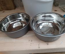 Dogs bowl