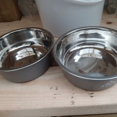 Dogs bowl