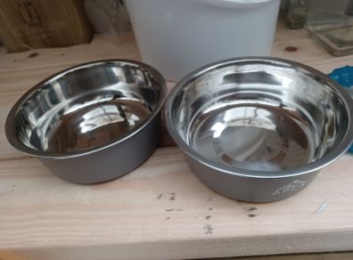 Dogs bowl