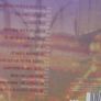 Robert Plant & Alison Krauss - Raise The Roof CD Image 2