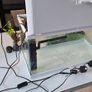 Fish Tank Image 7