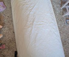 Free Mama's and Papas toddler bed mattress