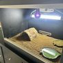 Vivarium Image 2