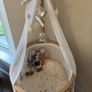 Stokke Crib Sleepi 3-in-1 Bed Bundle Image 7