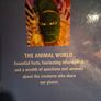 The animal world Image 2
