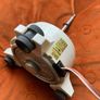 motor Image 2