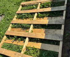 Free Pallet 6ft x 5ft