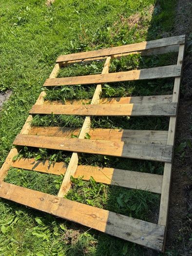 Free Pallet 6ft x 5ft
