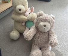 bears