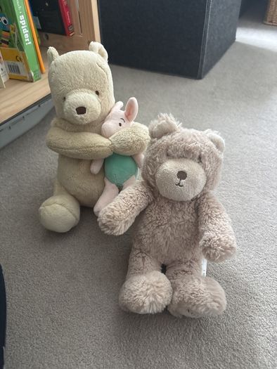 bears