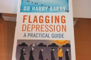 Flagging Depression, Apractical Guide from Dr Harry Barry