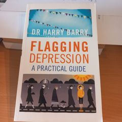 Flagging Depression, Apractical Guide from Dr Harry Barry