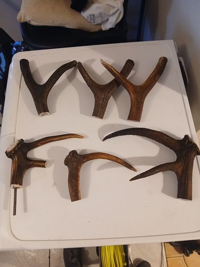 hiking stick handles
