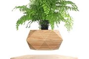 Plant Pot Floating Air Bonsai Pot Suspension Flower Pot Planter for Desk Decoration