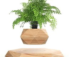 Plant Pot Floating Air Bonsai Pot Suspension Flower Pot Planter for Desk Decoration