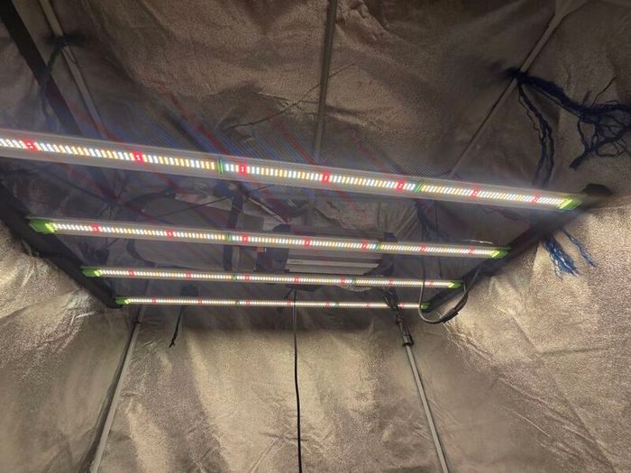 grow tent + led light