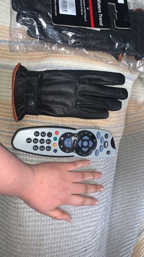 Equine gloves