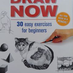 Draw Now