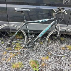 road / city bike, has to go by this weekend!