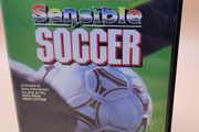 Sensible Soccer European Champions