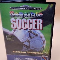Sensible Soccer European Champions