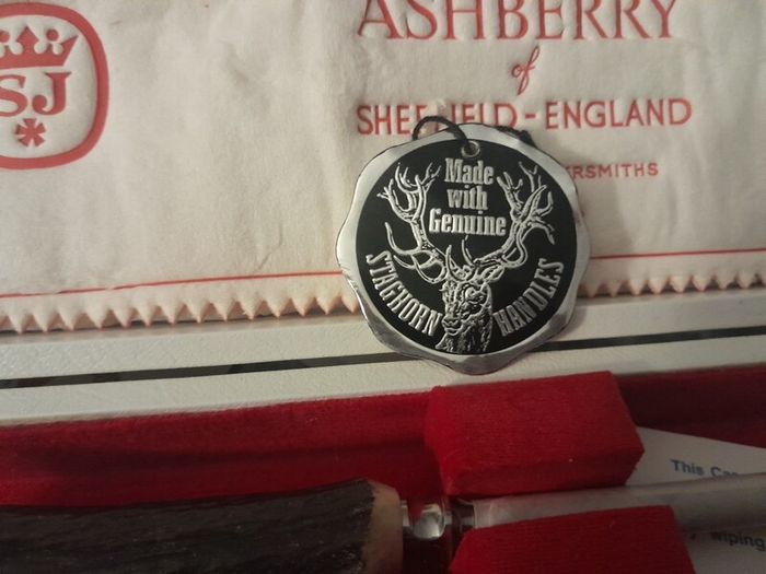 Carving set of knives- Ashberry/Sheffield