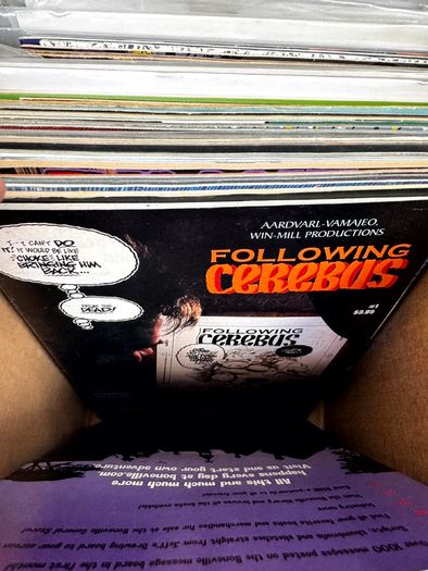 Indie Long Comic Box w 250 Comics for Sale