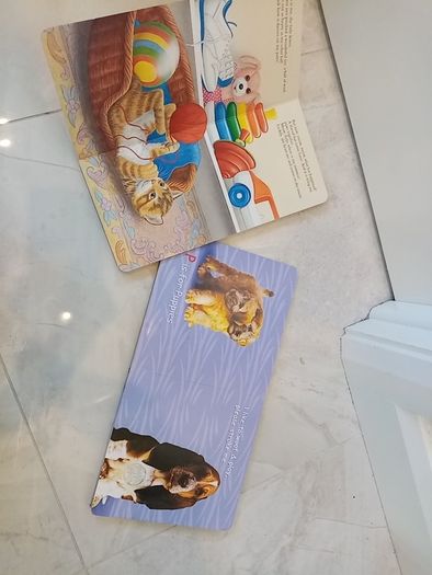 Dogs and Cats books