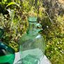 Vintage Bottles Image 4