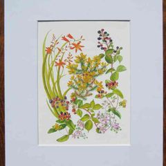 Print of a watercolour painting of hedgerow flowers