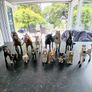 Schleich Image 3