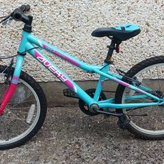 20 inch kids bike