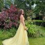 Yellow Debs Dress Image 2