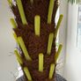 Artificial Houseplant x2 Image 3