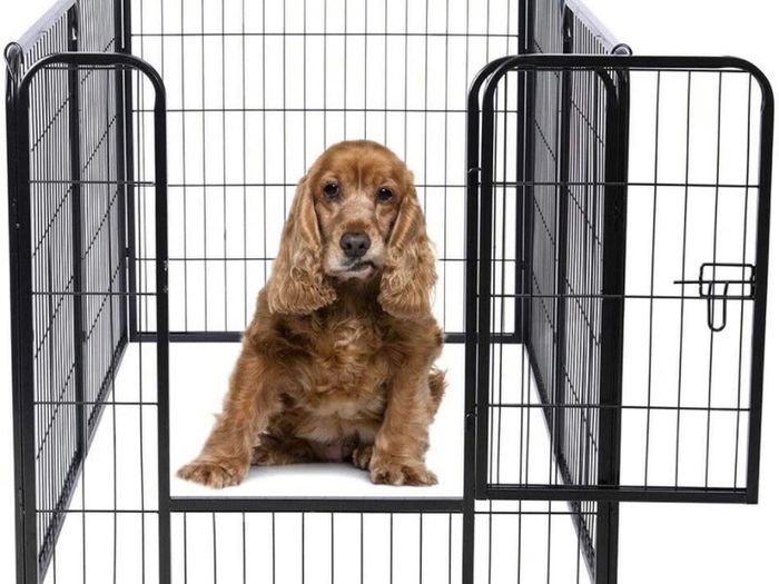 Heavy Duty Puppy Play Pen Playpen 6 x Panel Whelping Pen Pens 3 Sizes in this add EXTRA TALL (FREE POSTAGE)