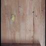 solid wooden table Image 4
