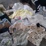 Baby boys clothes bundle 3-6months Image 3