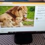 Philips 27" Full HD IPS Monitor Image 2