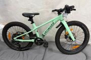 Specialized 20" mtb