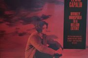 Lewis Capaldi  Divinely Uninspired To A Hellish Extent