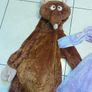 kids dress up clothes Image 2