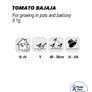 (T) Pot Tomato Bajaja seeds 0.1g (882761) Image 3