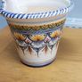 Cuban Oregano Plant with ceramic pot Image 8