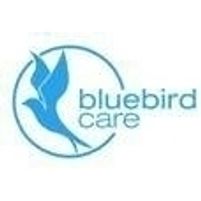 Bluebird Care Jobs in Ireland