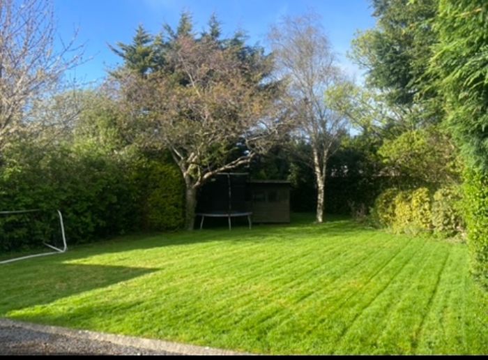 Professional Garden Maintenance - Dublin & North Wicklow