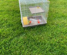 free hamster cage