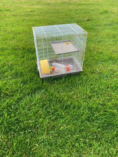 free hamster cage