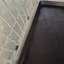 puppy /dog crate Image 2