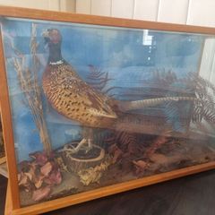 pheasants Stuffed