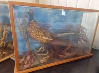 pheasants Stuffed